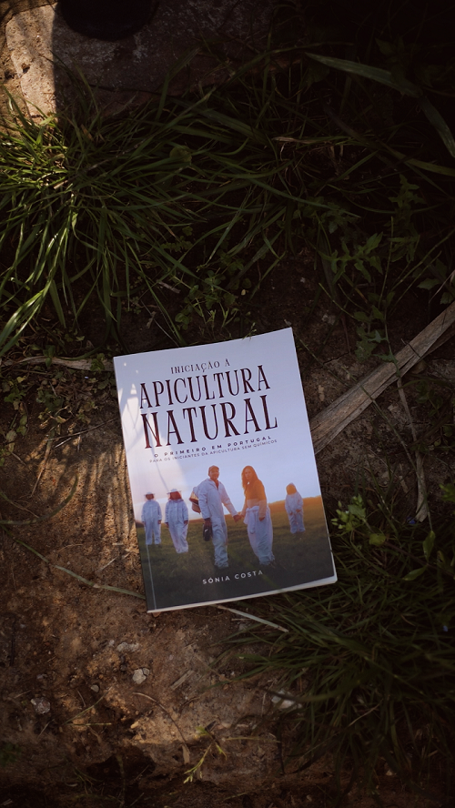 Iniciação à Apicultura Natural