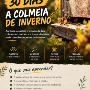 30 dias- colmeia de inverno