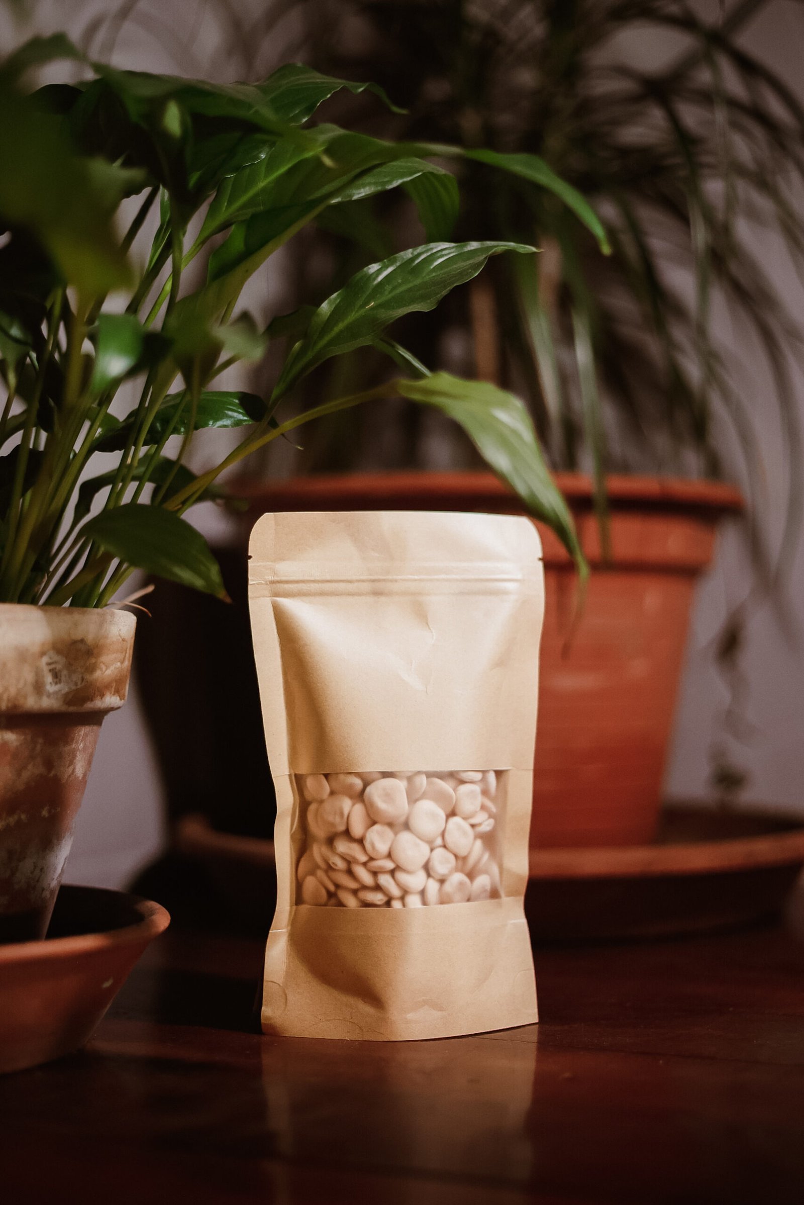 Produtos da quinta Apicosta